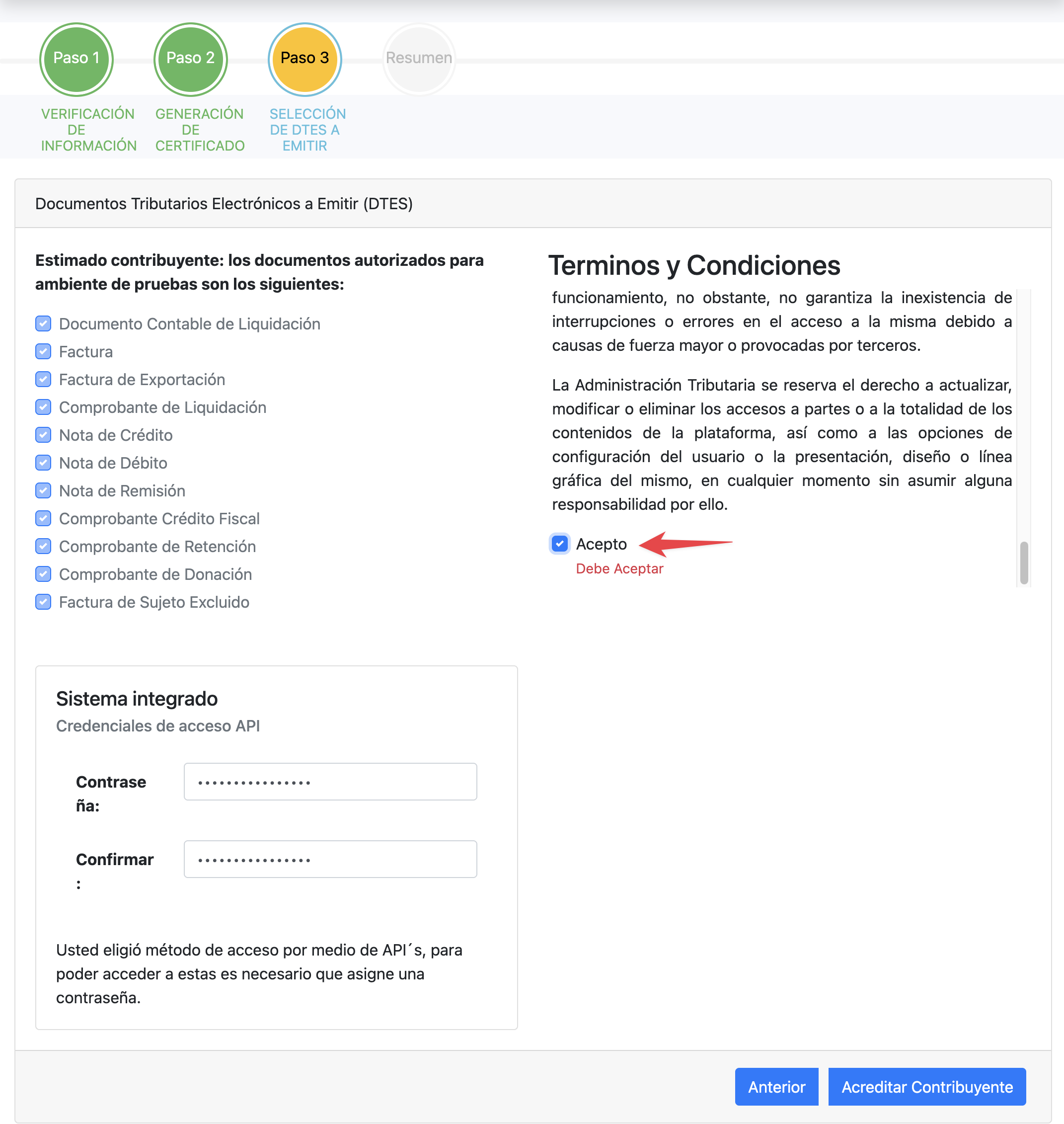 Seleccion de DTEs, terminos y credenciales API